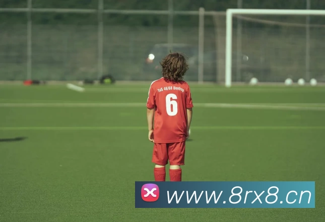 D体育手机网页版登录入口 - D体育(中国)发展历程